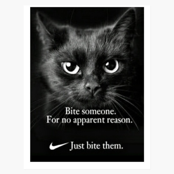 Brand New! Animal Bundle set of three 8.5x11 Ultra Glossy Wall/Locker Posters!😃 - Picture 7 of 8